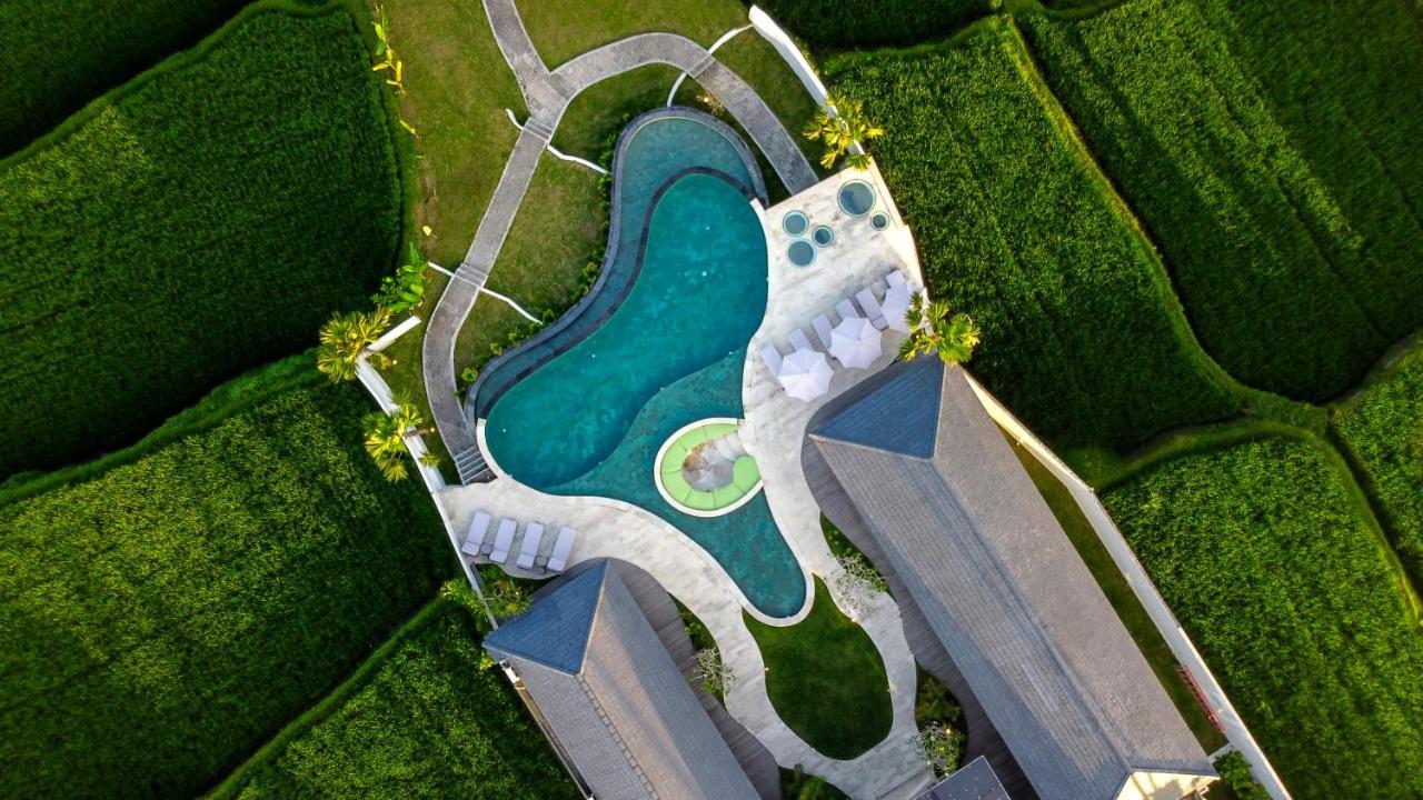 Villa Paradise By Balisuperhost Ubud  Luaran gambar